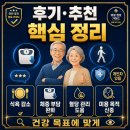 65세 이상 마운자 사용법 가격 후기 추천