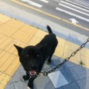 우당탕 랜드 이미지