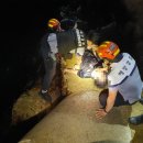 동해특수이송 이미지