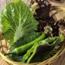 삼봉약국