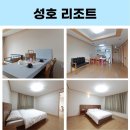 서라벌여행사