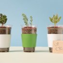 비건코리아 이미지