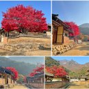새재한의원 | 경북 문경 여행코스 추천 _ 단풍 절정 문경새재 도립공원
