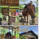 둔수농장 | 보홀 시티투어 사우스팜 농장 점심식사 추천!!