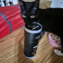 포캣(for cat) | 궁디팡팡캣페스타 이지세이프 제로프포캣