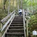 해피하이킹 이미지