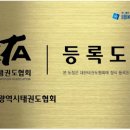 대한태권도 이미지