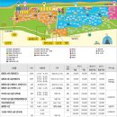 🏕️ 강릉 연곡 솔향기캠핑장 다녀온 후기/명당추천