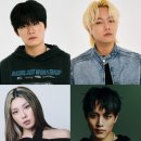 히스(HISS) 이미지