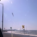 더 8그램 펜션 이미지