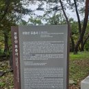 표충사 | 밀양 표충사 사찰 여행 후기
