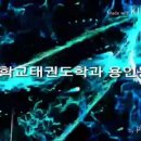 용인대 백암정도 태권도장 이미지