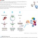 한국줄기세포뱅크 네이버블로그