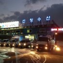 선창수산 - 화성시 사강시장길 62 | 선창수산