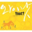 와이낫(YNOT) 이미지