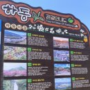 화개장터 주차장 | [하동] 4월 가볼 만한 곳 화개장터 십리벚꽃길 포토존 주말 방문 후기 주차장까지