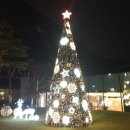 꽃잠 하우젠 이미지