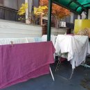 고빨래방 이미지