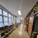 양곡초병설유치원 이미지