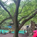 자연휴양림 얕은 물놀이장 이미지