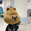 개똥스토어