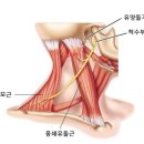 새롬의원 이미지