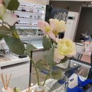 세컨페이스 서귀포점 이미지