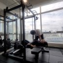 N 피티짐 이미지