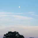 이주산농장 Daum카페