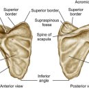 오성병원 이미지