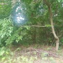 공원사거리 이미지