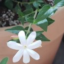 운정드림공인중개사사무소 이미지