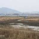 대흥태양광발전소 이미지