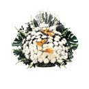 칠금동011 이미지