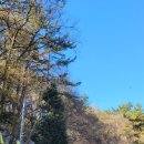 굴암산가든 | 경남 창원 겨울 산행, 무학산 등산 코스, 최단 코스, 상세 주차 등 산행 정보(23.11)