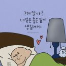 개팔자 상팔자 이미지