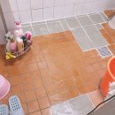 둔야로 네이버블로그