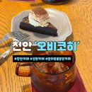 성환역앞도로 | 천안 성환역 오비코히 반려동물 동반 카페 필터커피