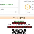 비트클럽