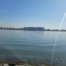 낙동남로 이미지