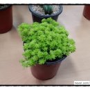 기쁨이네농장 이미지