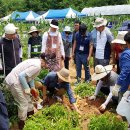 조경기능사(야간) 이미지