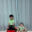 미음야구장 | 5개월) 이유식시작한 우래기, 점점 성장하는구나