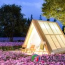 주목정원 이미지