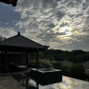 도란도란팜 | [인도네시아11] 발리 5박 7일 신혼여행 후기_팜투어🌴: 우마나 발리 리조트 안녕👋🏻, 우붓 시장, 발리...