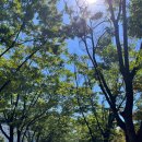 중앙사 | 2025.09.10 / 종로 데이트(서대문형무소 역사 탐방, 고운솔 한복대여, 경복궁 시간여행)