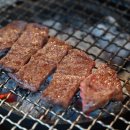 엉게나무 이미지