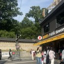 겔러리 카페 | 종로3가역 서순라길 종묘 산책 카페추천 갤러리소연 야장 내돈내산 후기