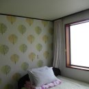 중문동-1 이미지