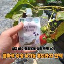풀마루 숙성 유기농 흑도라지진액: 육체피로와 피로회복에 좋은 차